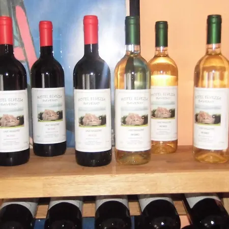 Elvezia Lake Maggiore